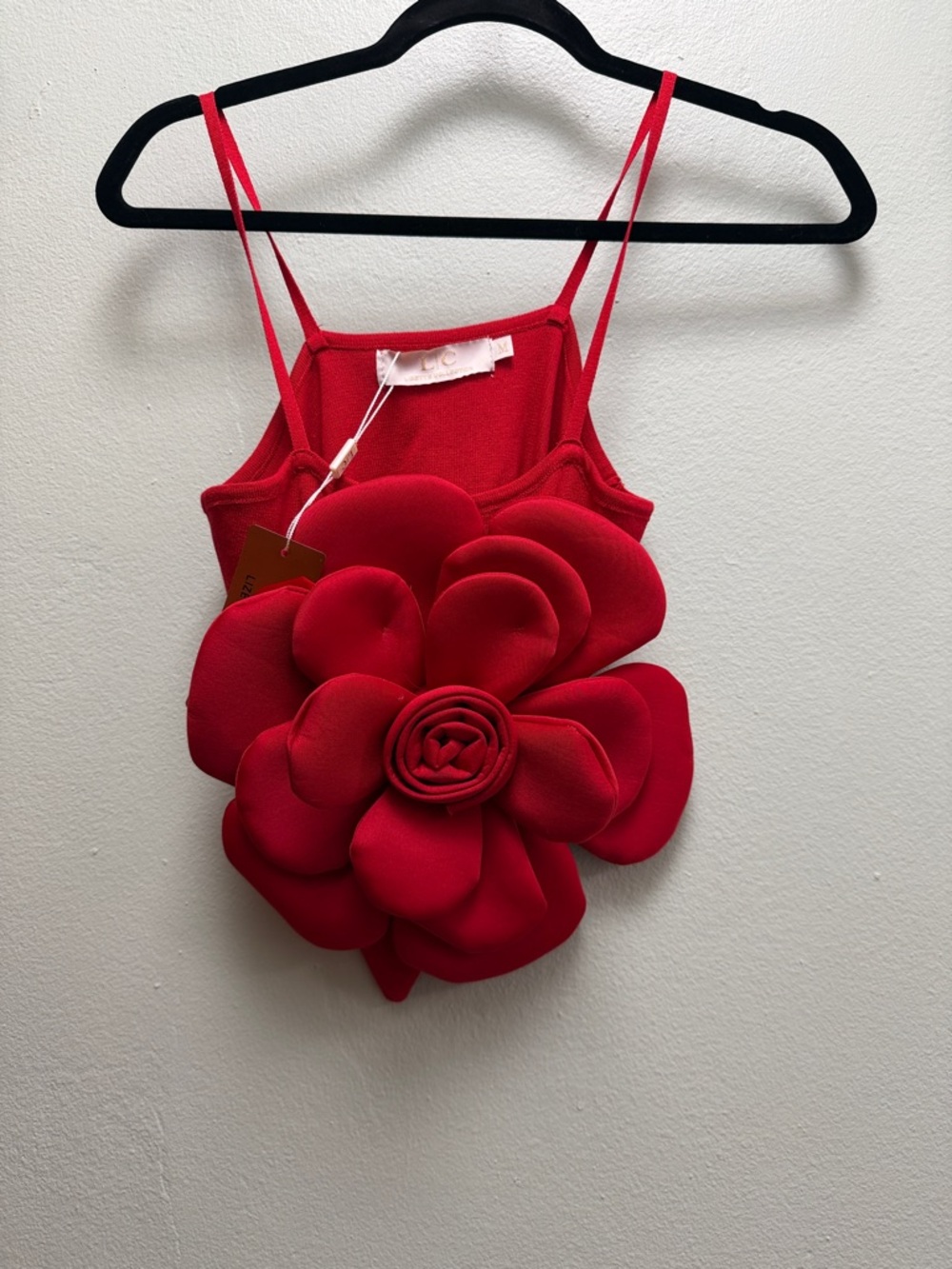 Red Floral Appliqué Crop Top - Women